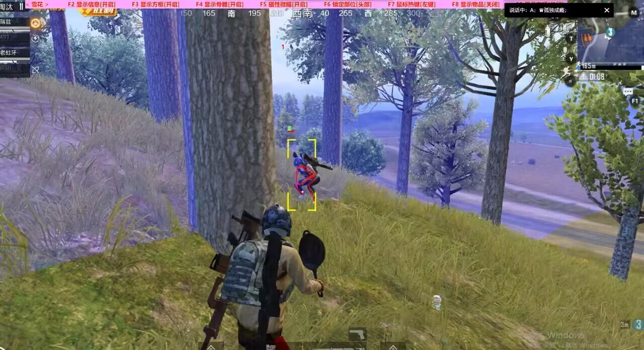 和平精英辅助软件的发展与影响分析